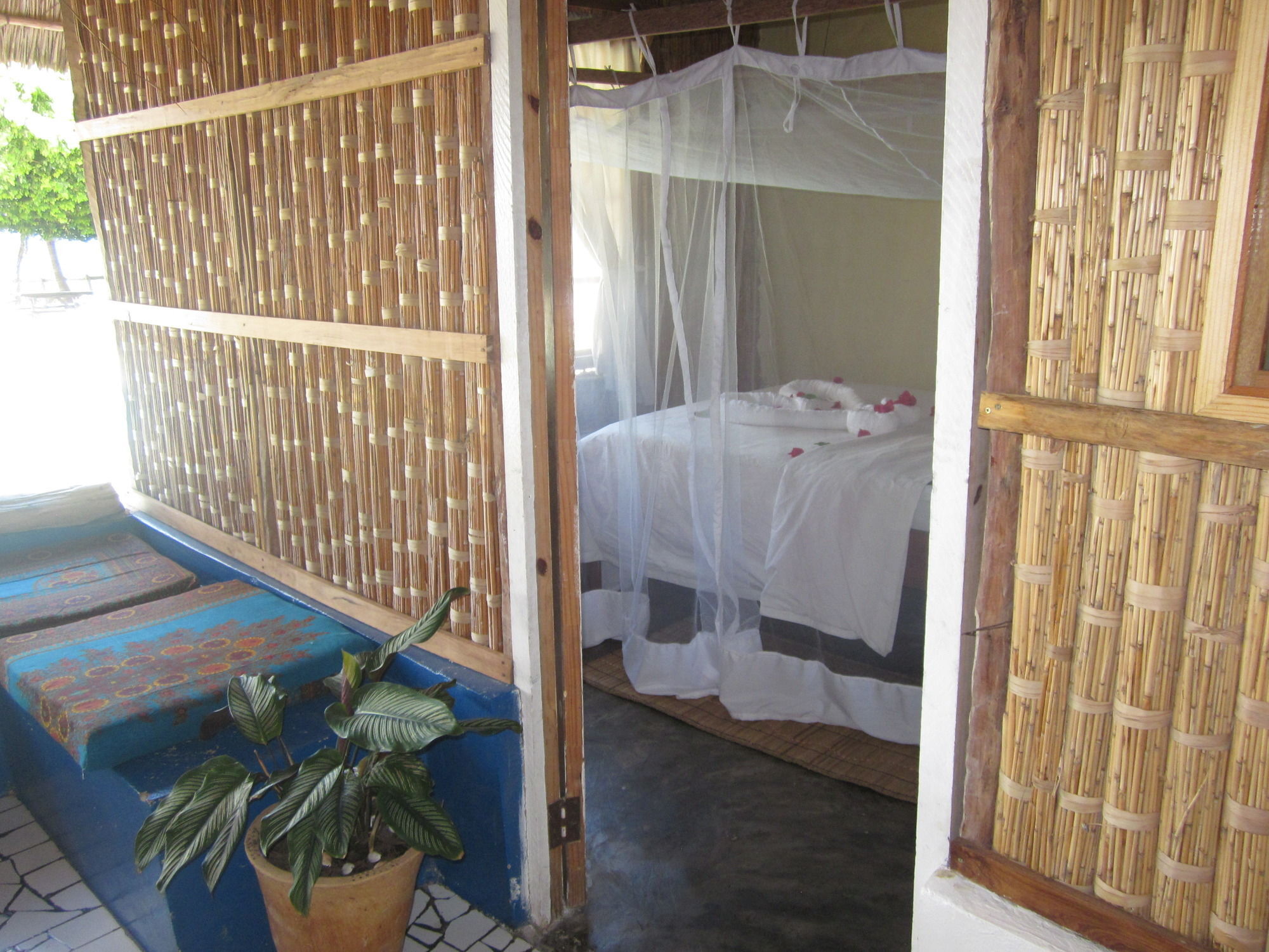 Baobab Beach Lodge And Backpackers 维兰库卢什 外观 照片