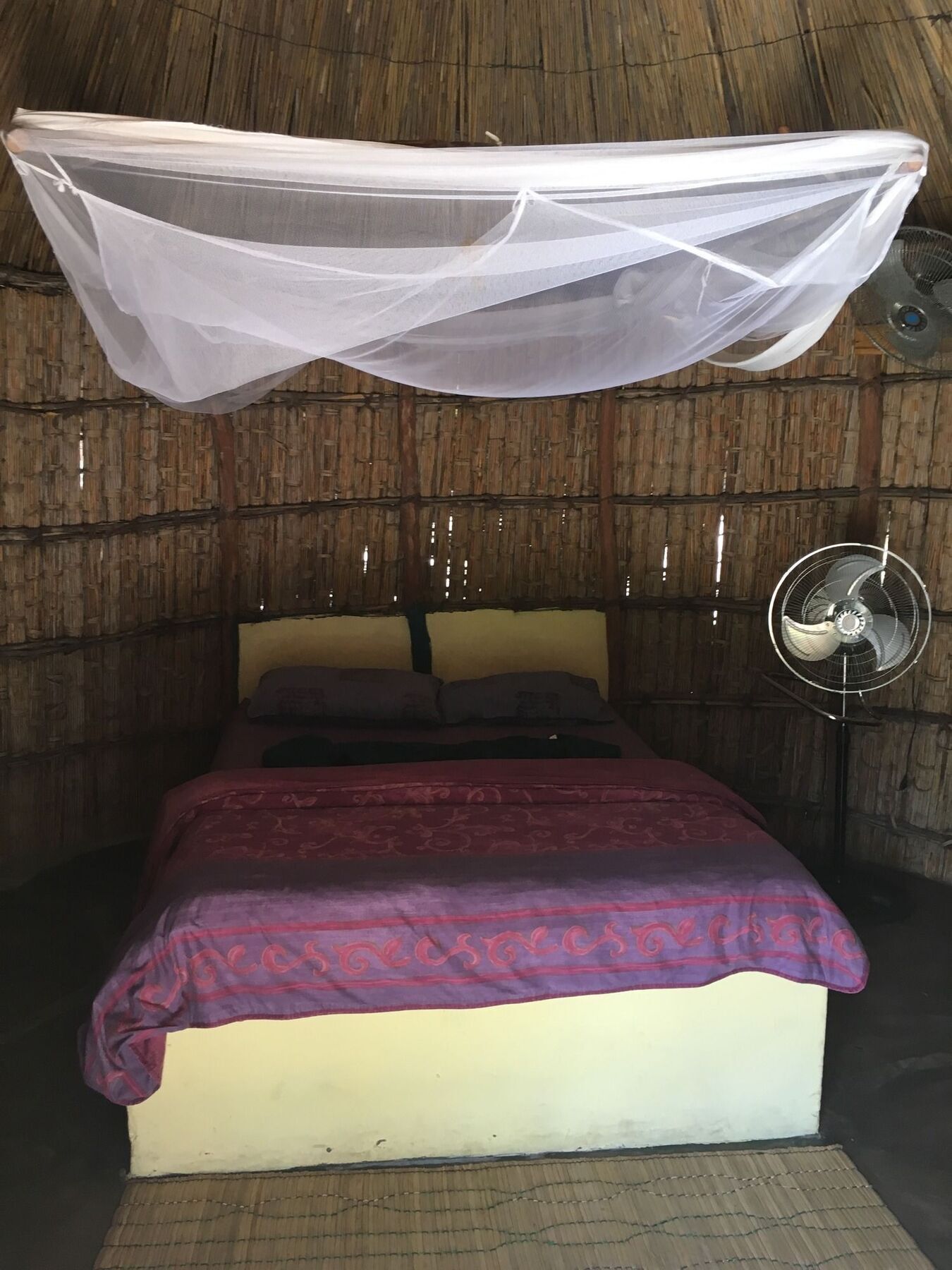 Baobab Beach Lodge And Backpackers 维兰库卢什 外观 照片
