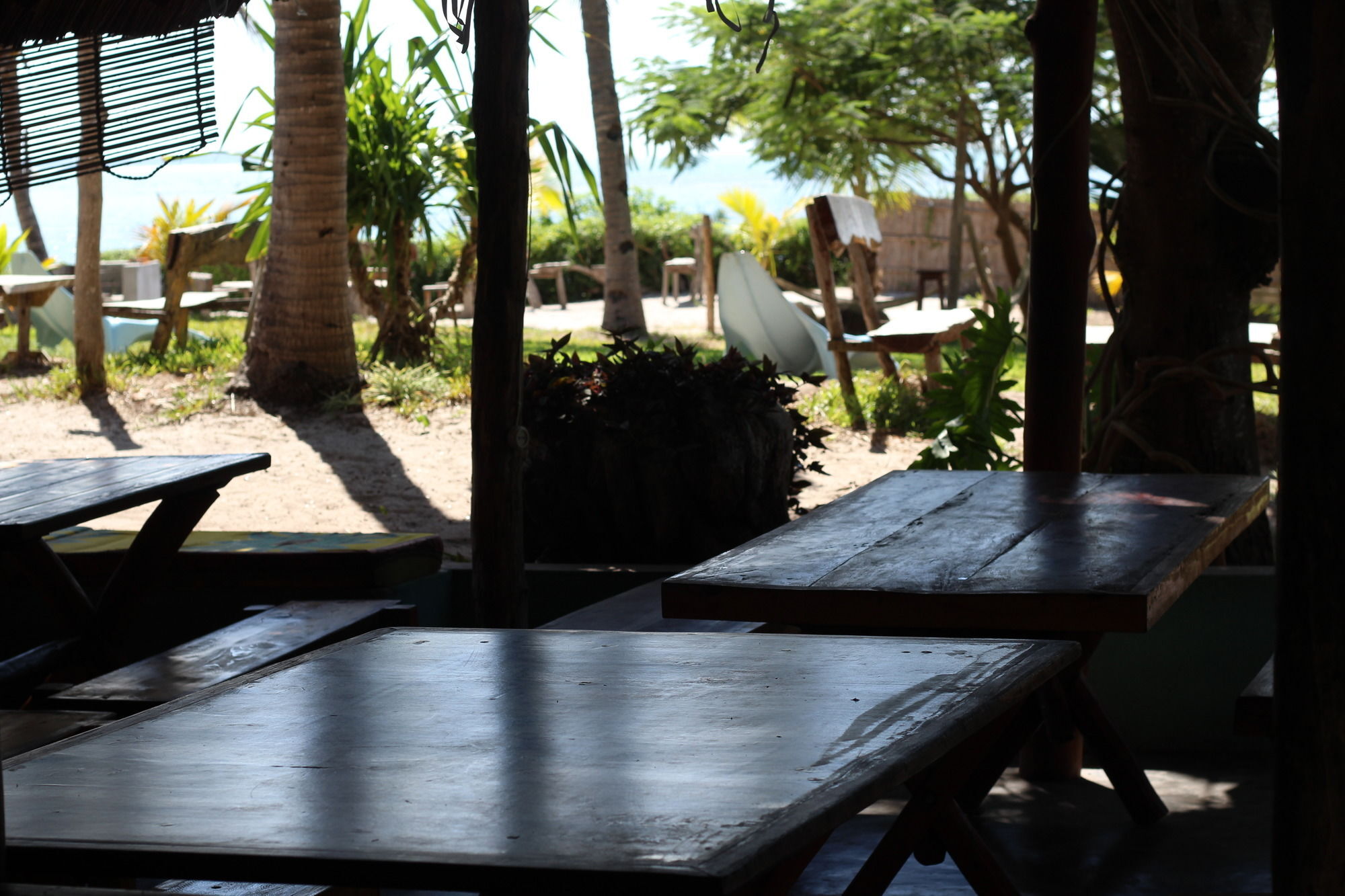 Baobab Beach Lodge And Backpackers 维兰库卢什 外观 照片
